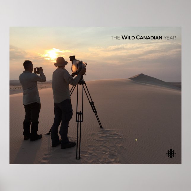 Pôster Athabasca Sand Dunes (Frente)