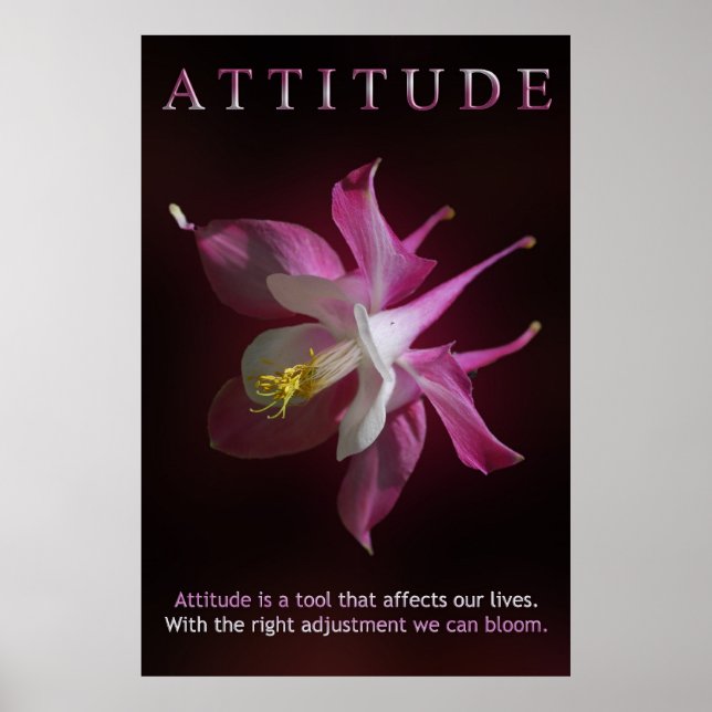 Poster Atitude (Frente)