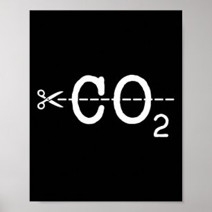 Poster Ativismo das Alterações Climáticas no Dia da Terra