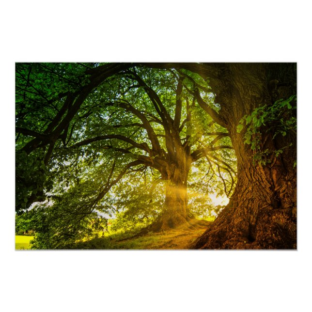 Pôster atmosfera serena (Frente)