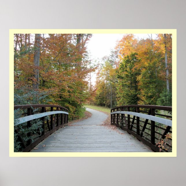 Pôster Através da floresta (Frente)