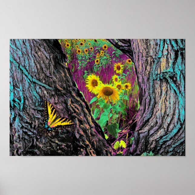 Poster Através Das Árvores (Frente)