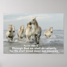 Através de Deus, faremos o Salmo Valiant 108:13