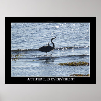 Pôster ATTITUDE É TUDO Excelente Blue Heron Foto