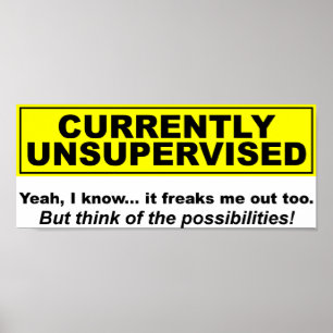 Poster Atualmente um Cartaz Divertido Sem Supervisão