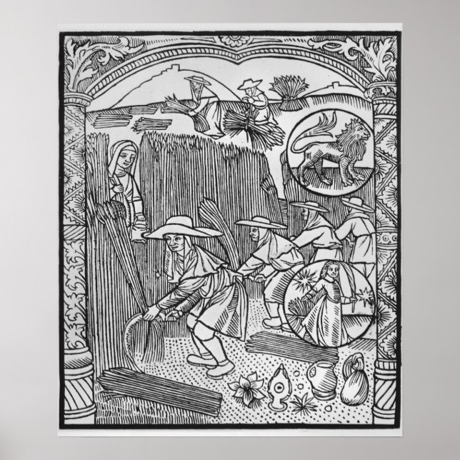 Pôster August, colheita, Leo (Frente)