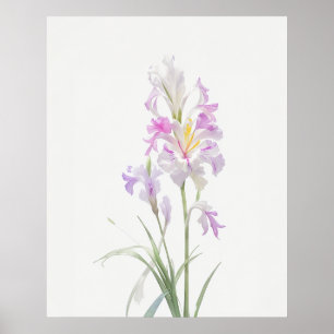 Poster August Gladiolus Birth Flower