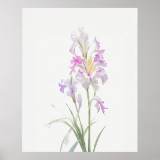 Poster August Gladiolus Birth Flower