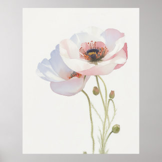 Poster August Poppy Birth Flower