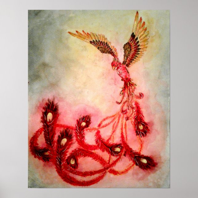 Poster Aumento (Frente)