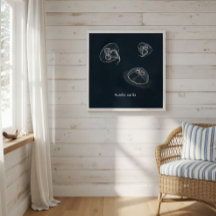 Aurelia aurita Poster educacional