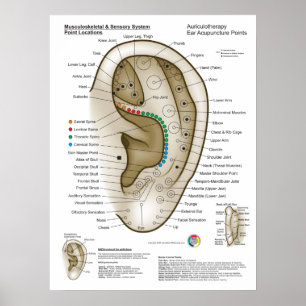 Poster Auriculoterapia Acupuntura Auricular