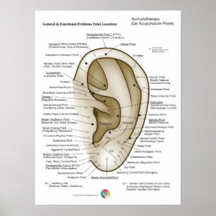 Poster Auriculoterapia Acupuntura de Ouvido