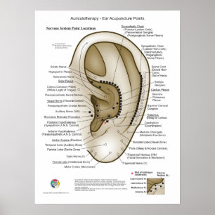 Poster Auriculoterapia Acupuntura de Ouvido