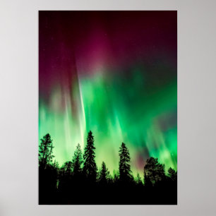Poster Aurora boreal luzes do norte