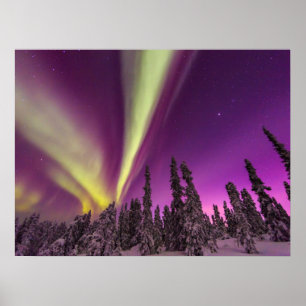 Poster Aurora Boreal Luzes do Norte Fairbanks Alasca
