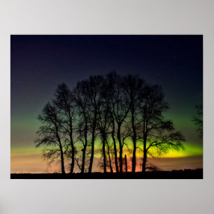 Poster Aurora Boreal Manitoba Canadá Grande Pointe