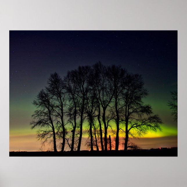 Poster Aurora Boreal | Manitoba Canadá Grande Pointe (Frente)