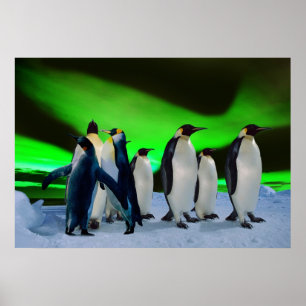 Poster Aurora borealis e pinguins