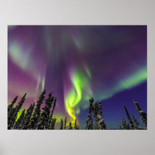 Poster Aurora Borealis Fairbanks, Alaska