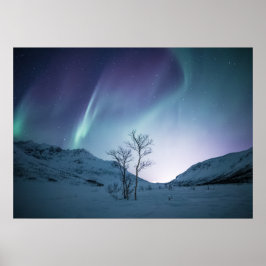 Poster Aurora Borealis Night