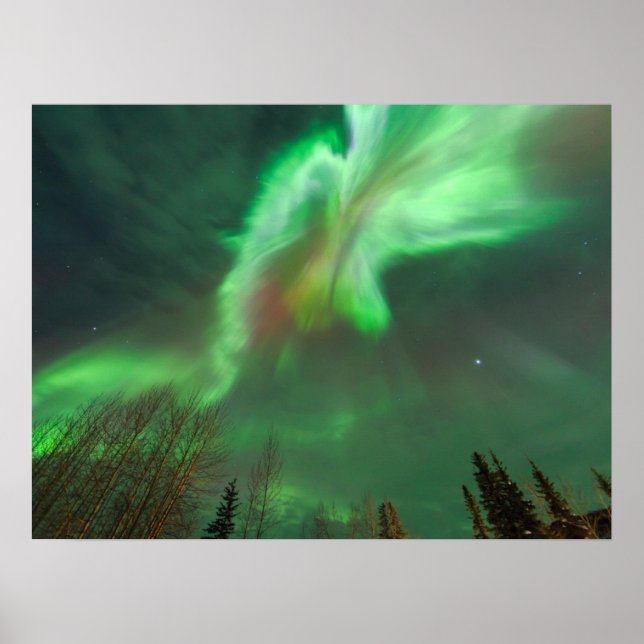 Poster Aurora Borealis Northern Lights | Fairbanks (Frente)