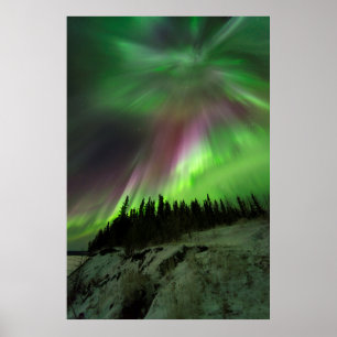 Poster Aurora da corona