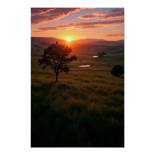 Pôster Aurora do Silêncio (Frente)