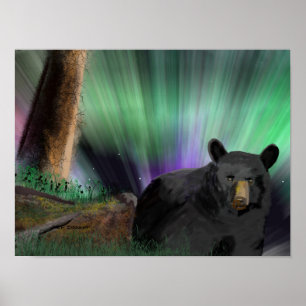 Pôster Aurora do urso
