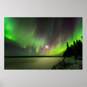 Pôster Aurora Majestosa