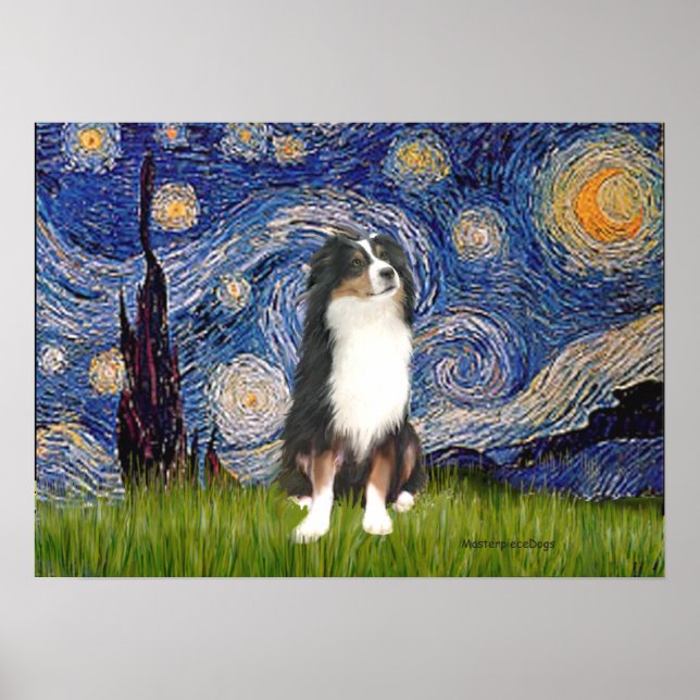 Pôster Aussie Shep (Tri2) - Noite Estrelada (Frente)