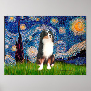 Pôster Aussie Shep (Tri2) - Starry Night