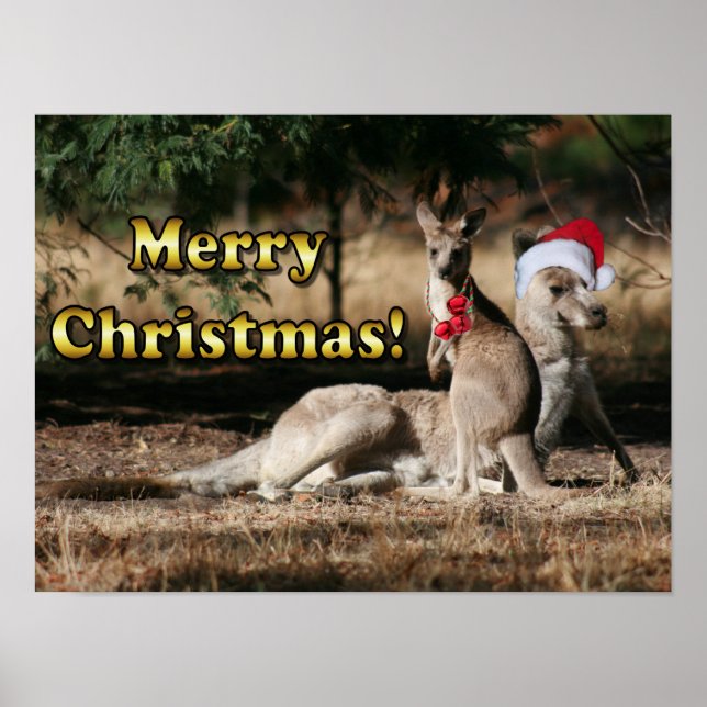 Pôster Aussie Style Christmas Kangaroos (Frente)