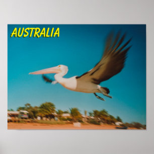Poster Austrália
