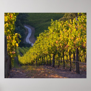 Pôster Austrália do Sul, Colinas de Adelaide, Summertown.