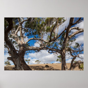 Pôster Austrália, Península Fleurieu, Normanville