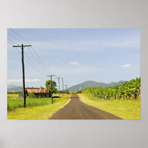 Poster Austrália, Queensland, Costa Norte, Babinda.