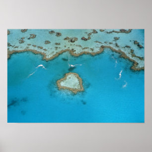 Pôster Austrália, Queensland, Ilhas Whitsunday,