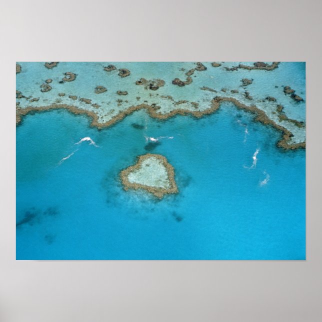 Poster Australia, Queensland, The Whitsunday Islands, (Frente)