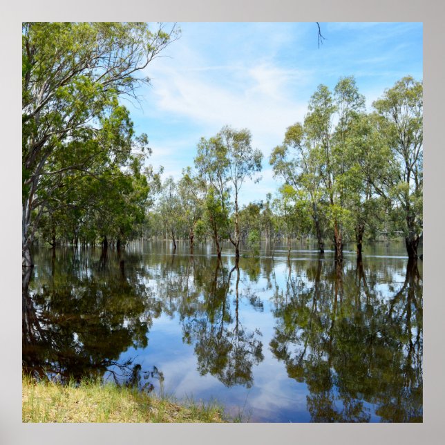 Poster Austrália The River Murray, (Frente)