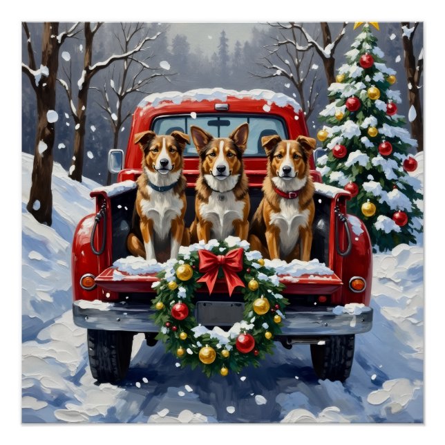 Pôster Australian Cattle Dog Christmas Red Truck Holiday (Frente)
