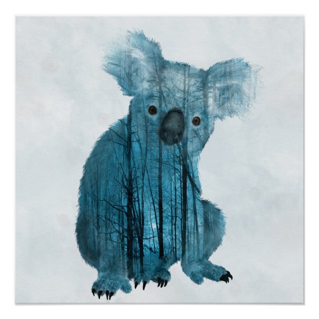 Pôster Australian Misty Forest Koala (Frente)