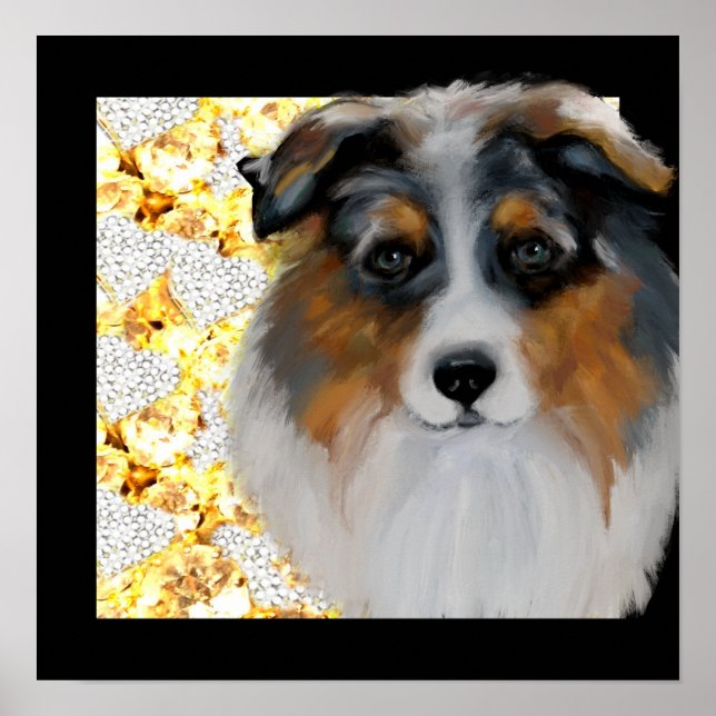 Poster Australian Shepherd   (Frente)