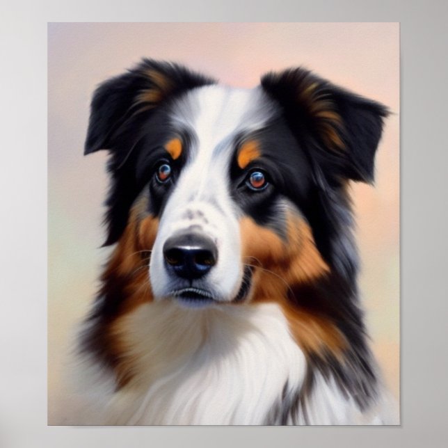 Poster Australian Shepherd Kopf -  (Frente)