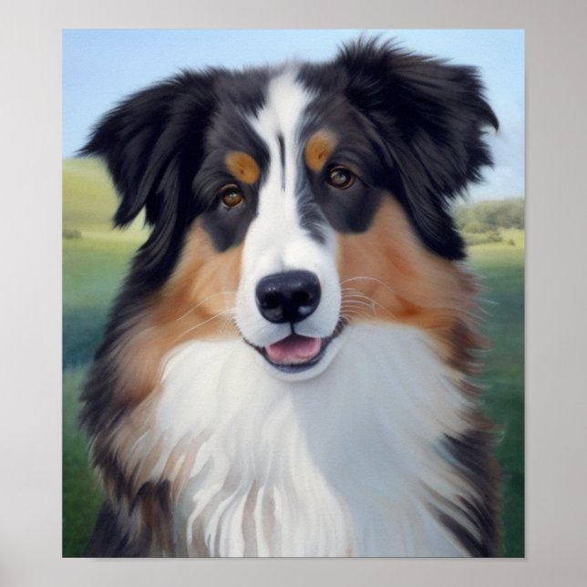 Poster Australian Shepherd Portrait  -  (Frente)