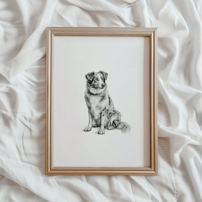 Poster Australian Shepherd Print, Aussie Dog Sketch, PRIN (Criador carregado)