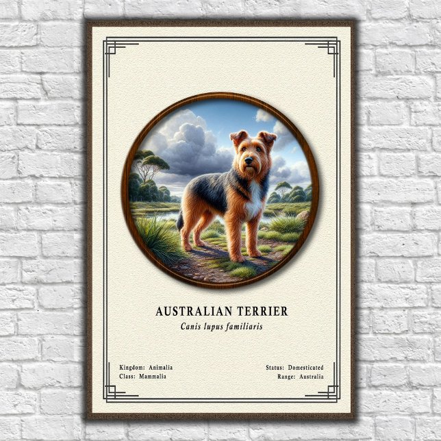 Poster Australian Terrier Zoology Series (Criador carregado)