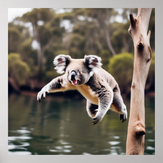 Poster Australiano Drop Bear Koala