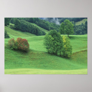 Poster Austria. Rolling green hillside and trees