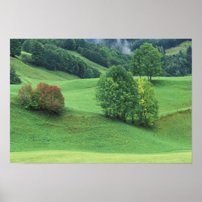 Poster Austria. Rolling green hillside and trees (Frente)